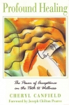 PROFOUND HEALING : The Power Of Acceptance On The Path To Wellness
